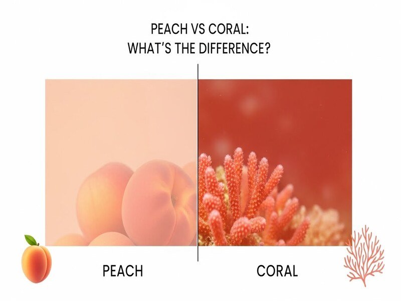 Peach vs Coral: What’s the Difference?