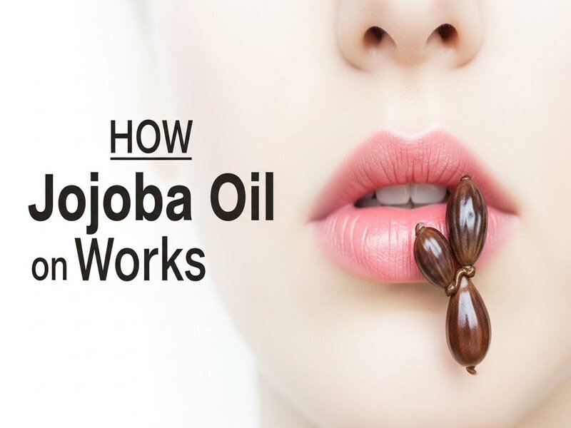 How Jojoba Oil Works on the Lips